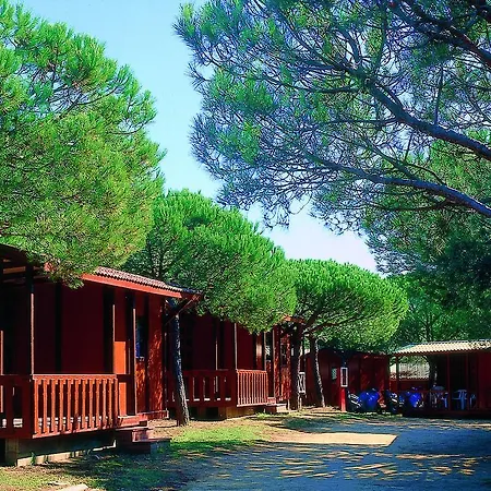 Internacional Campsite