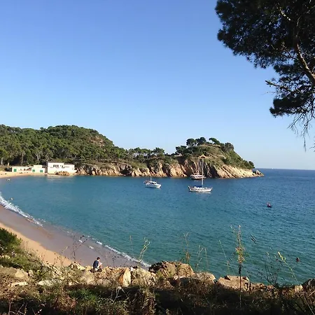 Internacional Palamos