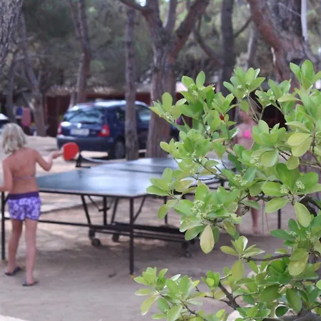 Internacional Campsite 2*