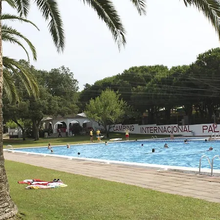 Kemp Internacional Palamós